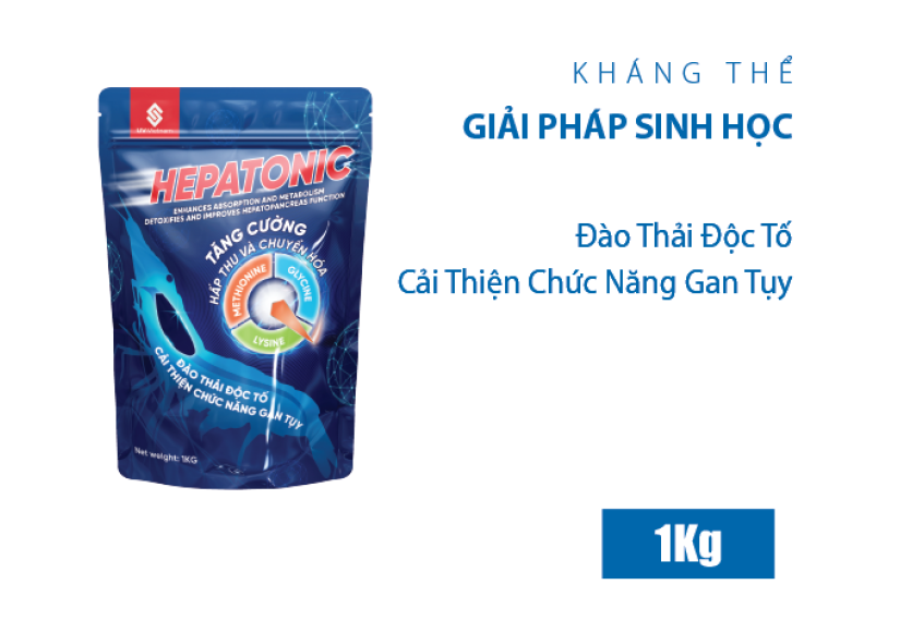 HEPATONIC